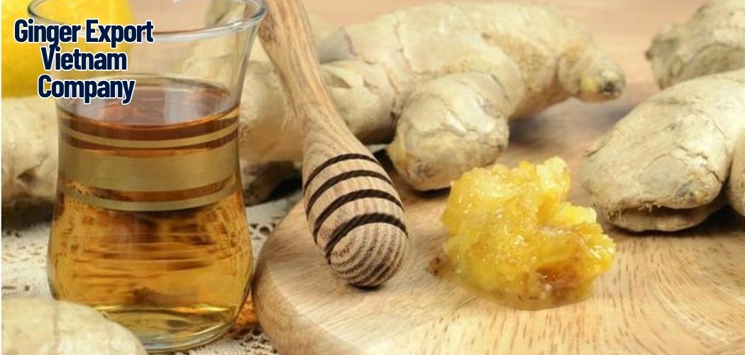 Culinary Applications of Fresh & Dried Ginger in Global Cuisine 9 Ginger Export Vietnam Company 1