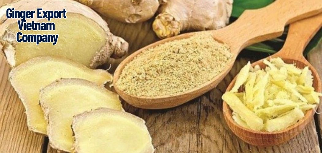 Ginger in Beverage Industry: From Tea to Alcoholic Drinks 8 Ginger Export Vietnam Company 2