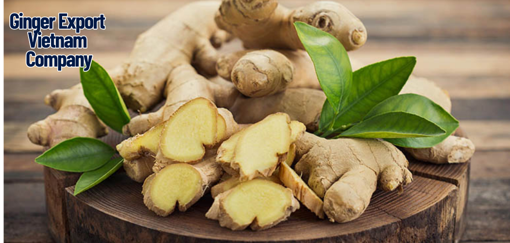 Ginger Export Vietnam Company 2