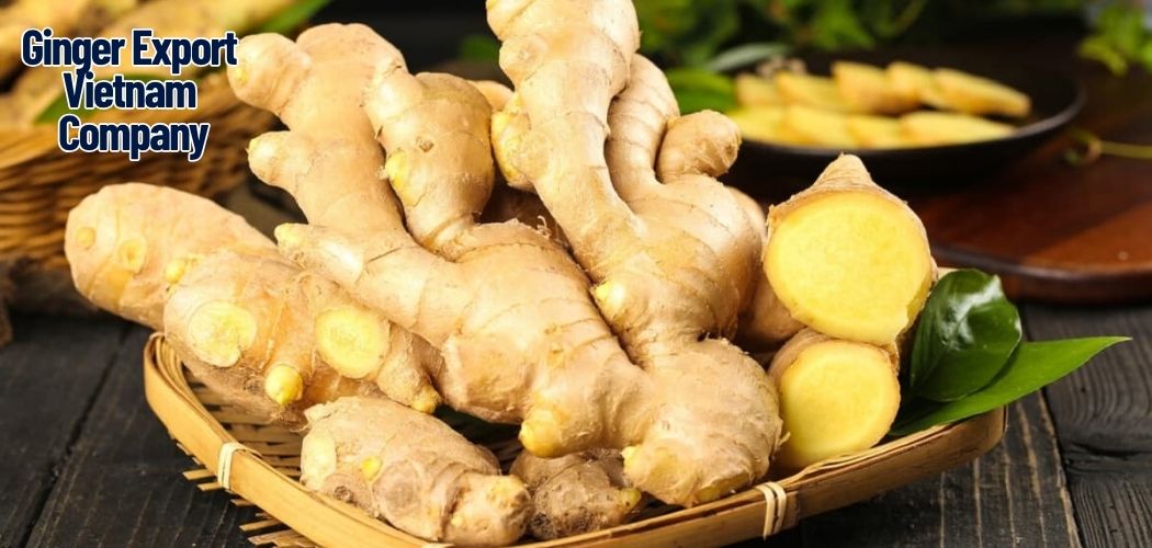 Using Ginger in Baking & Confectionery: Flavor & Aroma 6 Ginger Export Vietnam Company 4