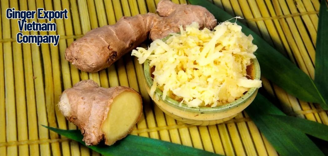 Ginger Export Vietnam Company 7