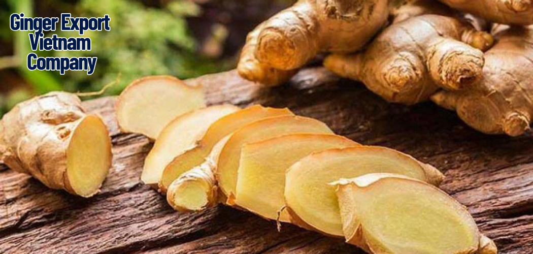 Ginger Export Vietnam Company